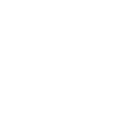 検索用の虫眼鏡アイコン