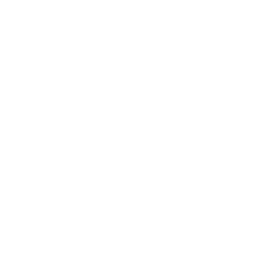 体力のアイコン